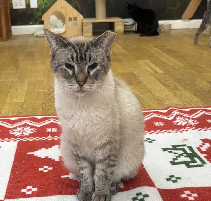 Photo of Otis