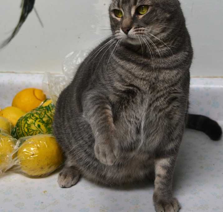 Photo of Grace