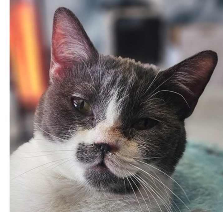 Photo of Maya