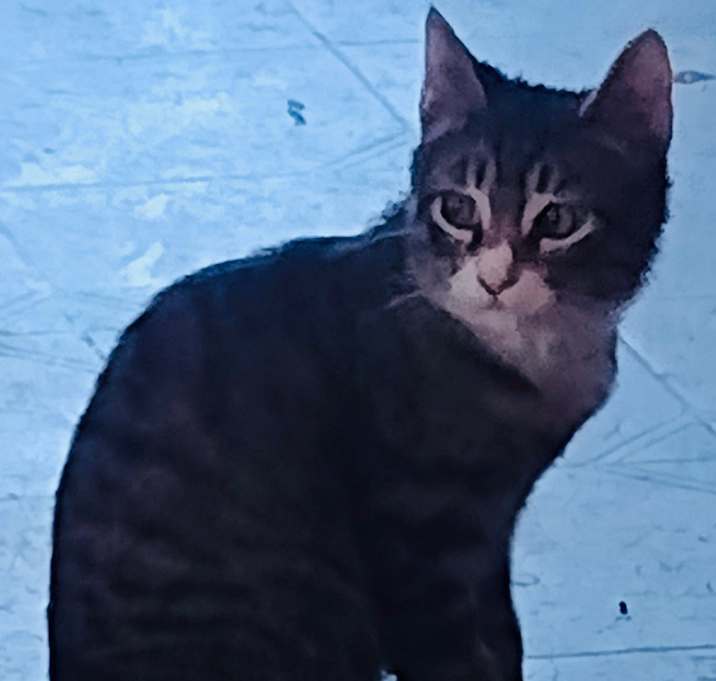 Photo of Slim Pickens