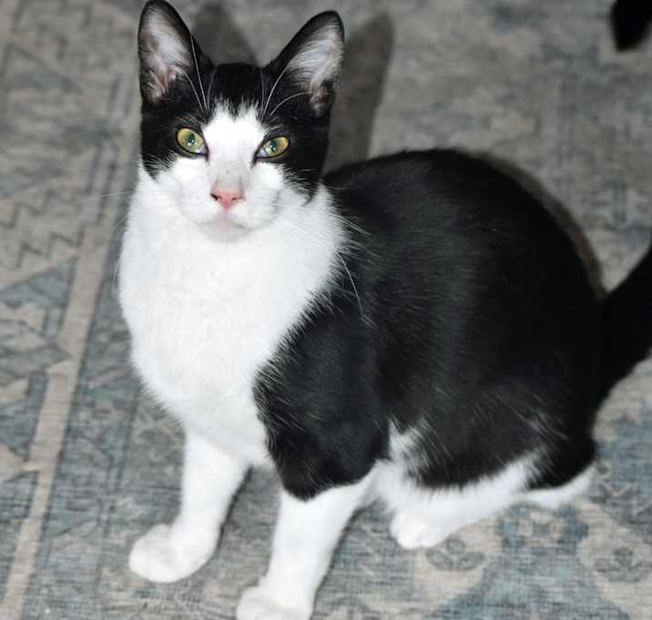 Photo of Klondike