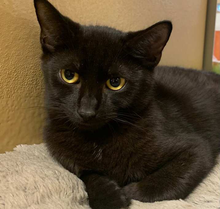 Photo of Spooky