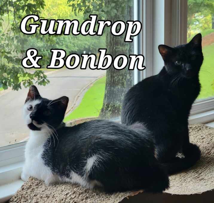 Photo of Gumdrop
