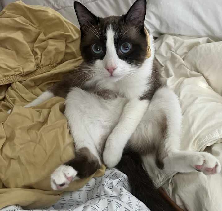 Photo of Tater
