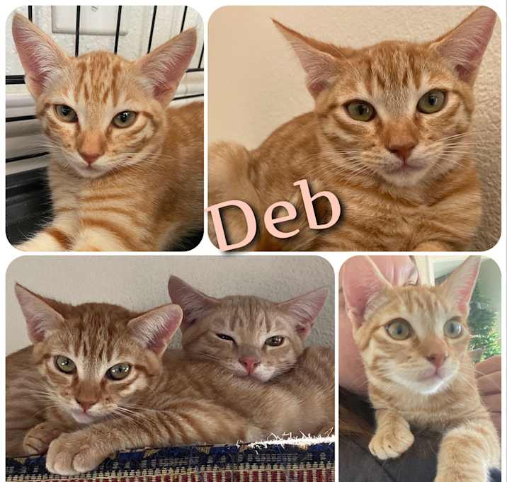 Photo of Deb
