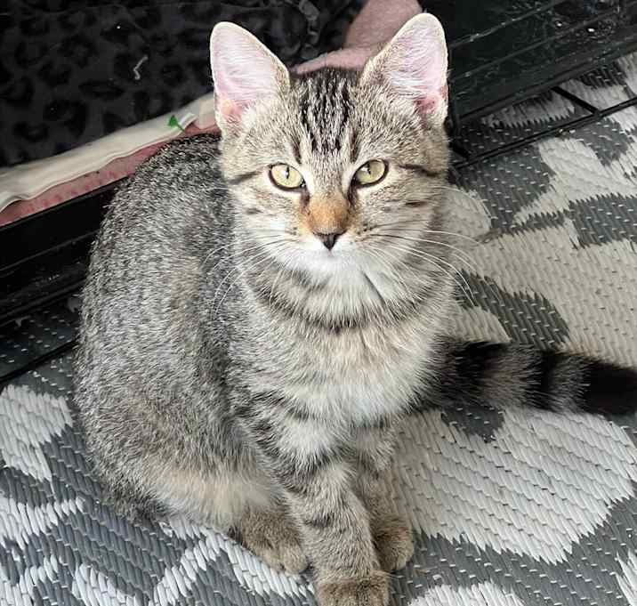 Photo of Belle O
