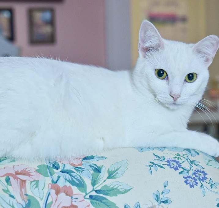 Photo of Aspen