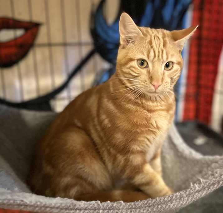 Photo of Emmett