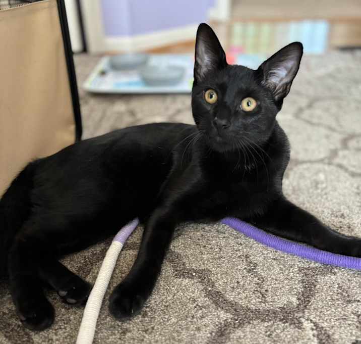 Photo of Bucky