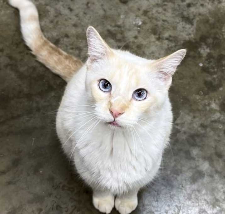 Photo of Little Bitt