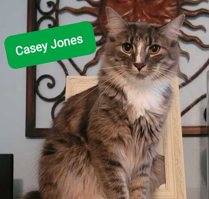 Photo of Casey Jones