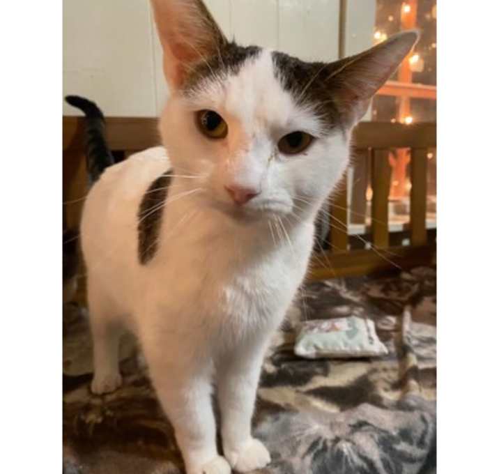 Photo of Minette