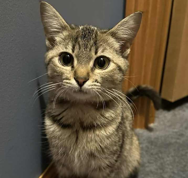 Photo of Zima