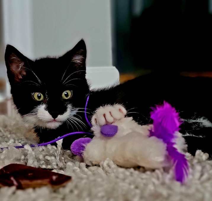 Photo of Oliver