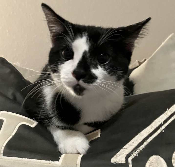 Photo of Annie