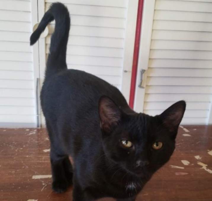 Photo of Lilith