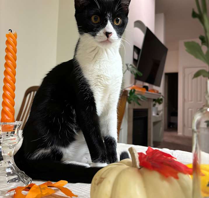 Photo of Jack