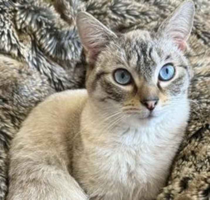 Photo of Buzz