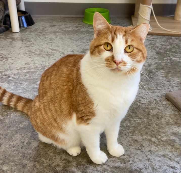 Photo of Bonnie