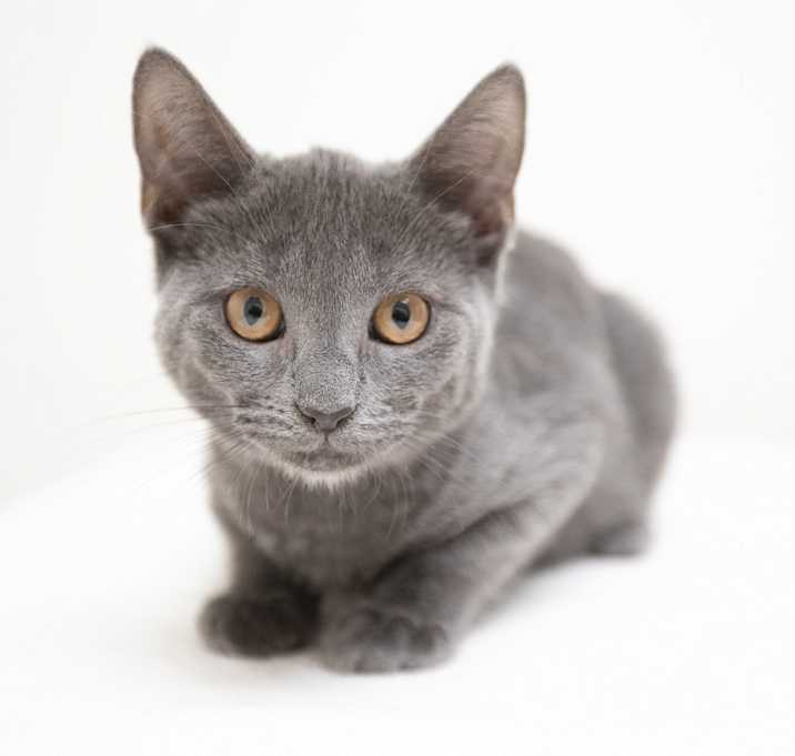 Photo of Cloud