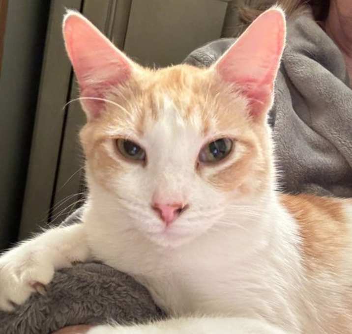 Photo of Simon