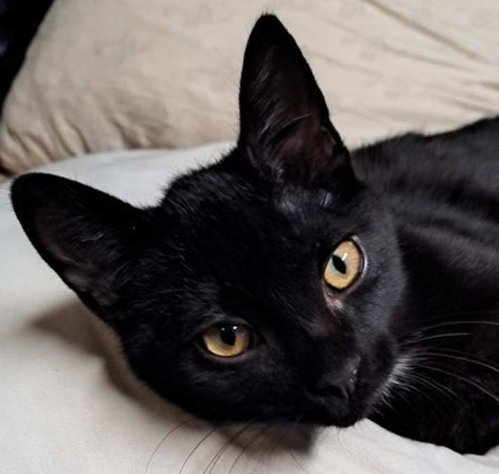 Photo of Peter