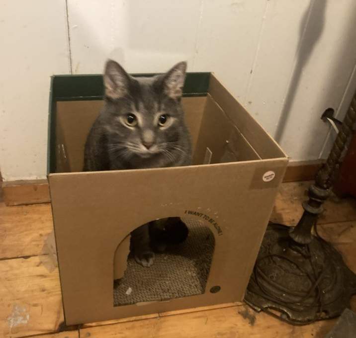 Photo of Trouble