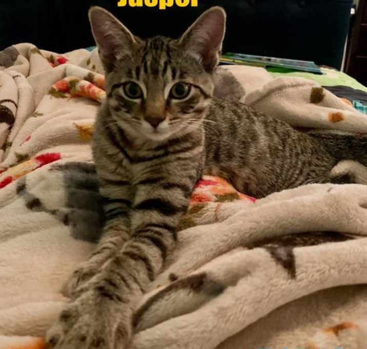 Photo of Jasper