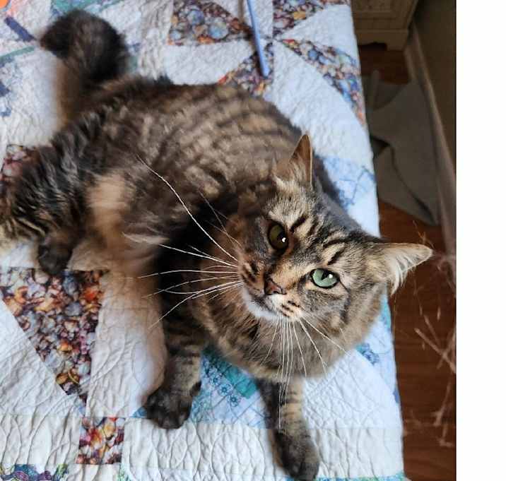Photo of Ivy
