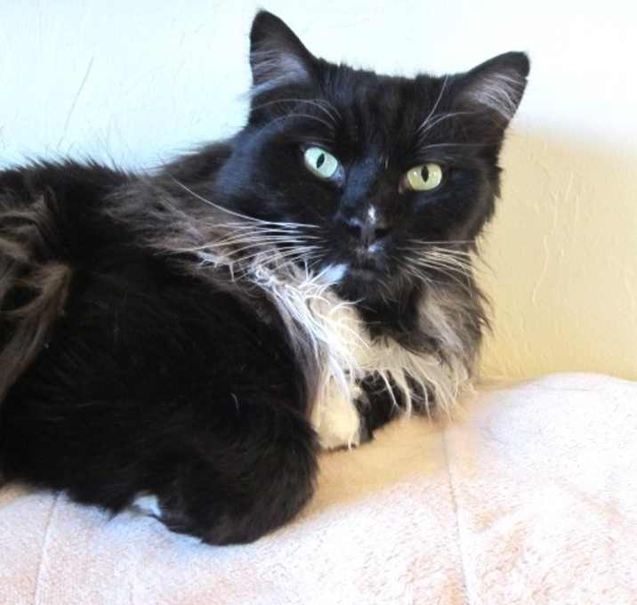 Photo of Ziggy