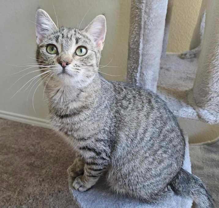 Photo of Wanda