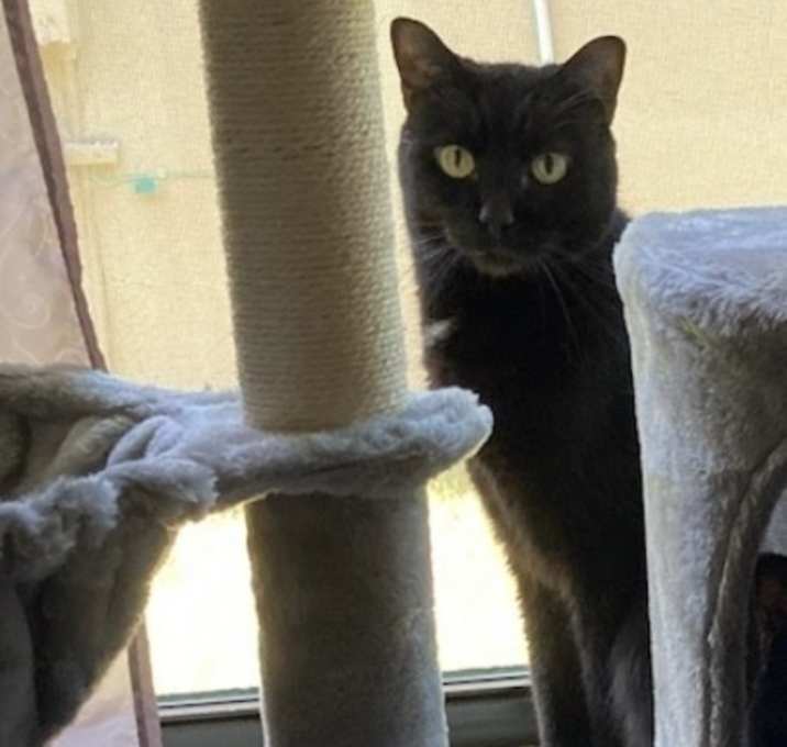 Photo of Max