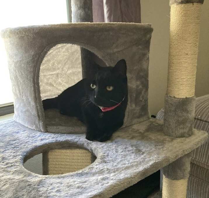Photo of Sadie