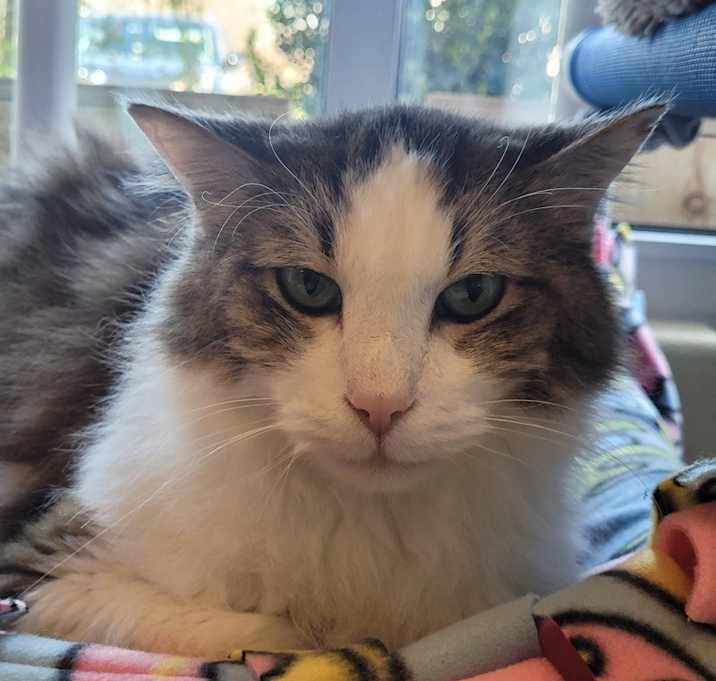 Photo of Reggie