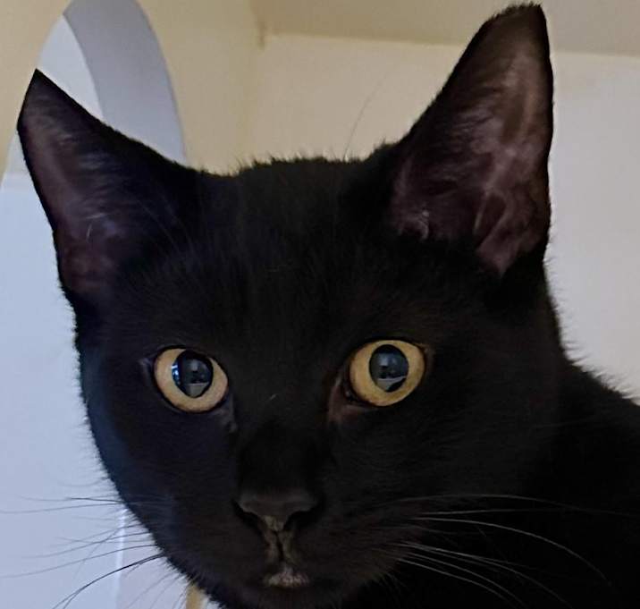Photo of Ivan