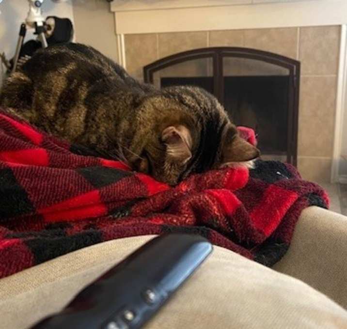 Photo of Luna