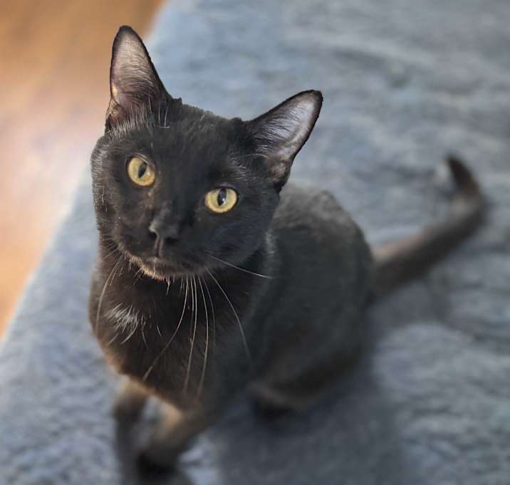 Photo of Boyd