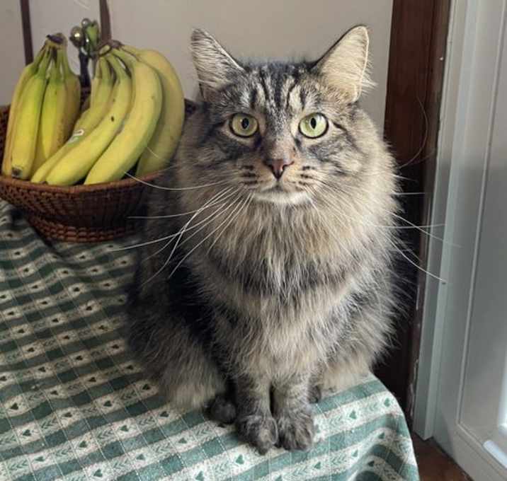 Photo of Buddy