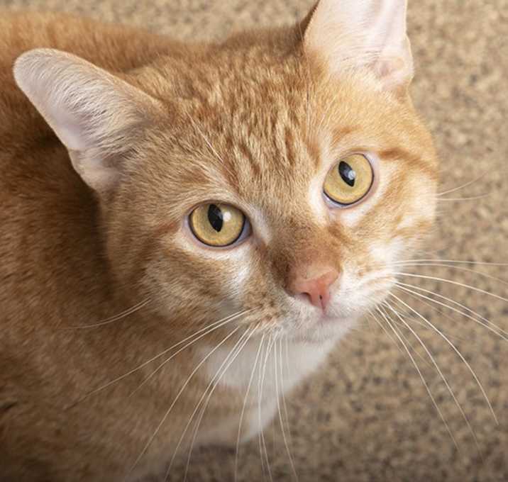 Photo of Tuna