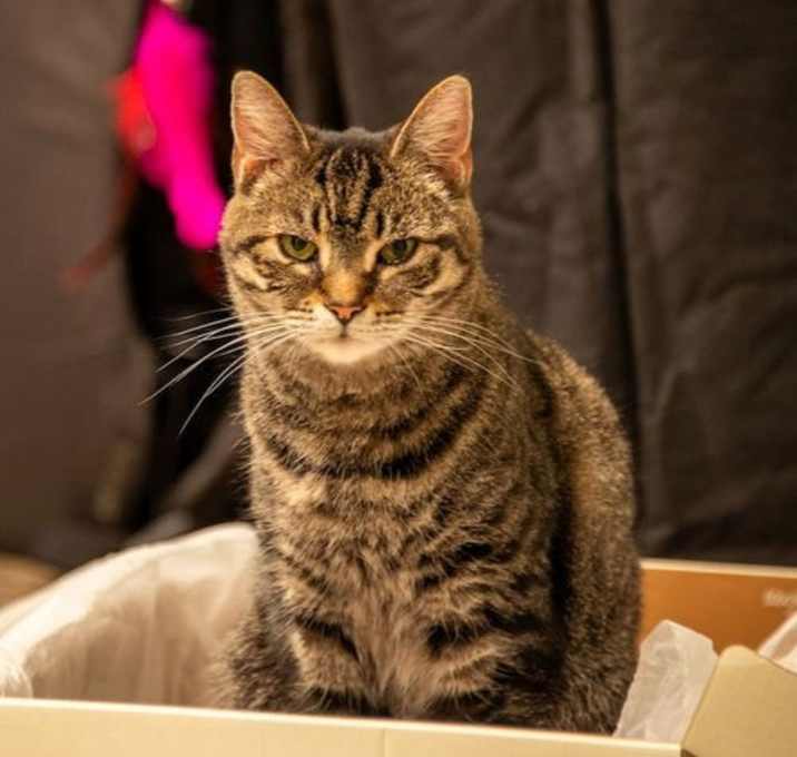 Photo of Estella