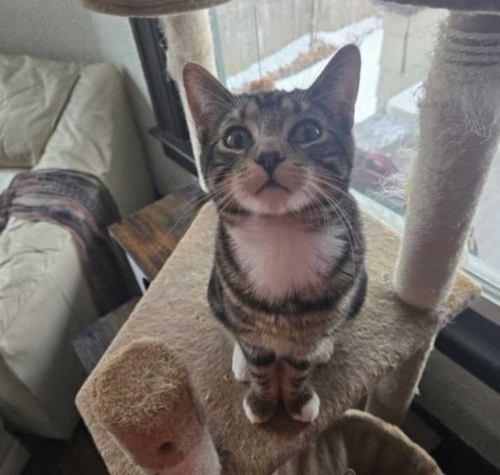Photo of Loki