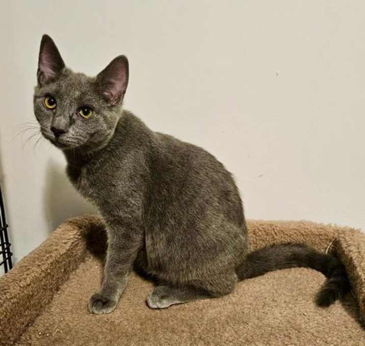 Photo of Cloud