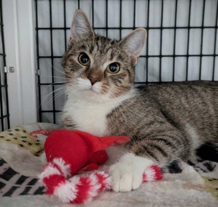 Photo of Toots