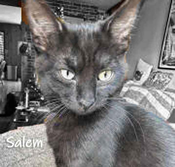 Photo of Salem