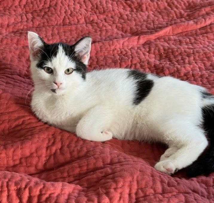 Photo of Blanca