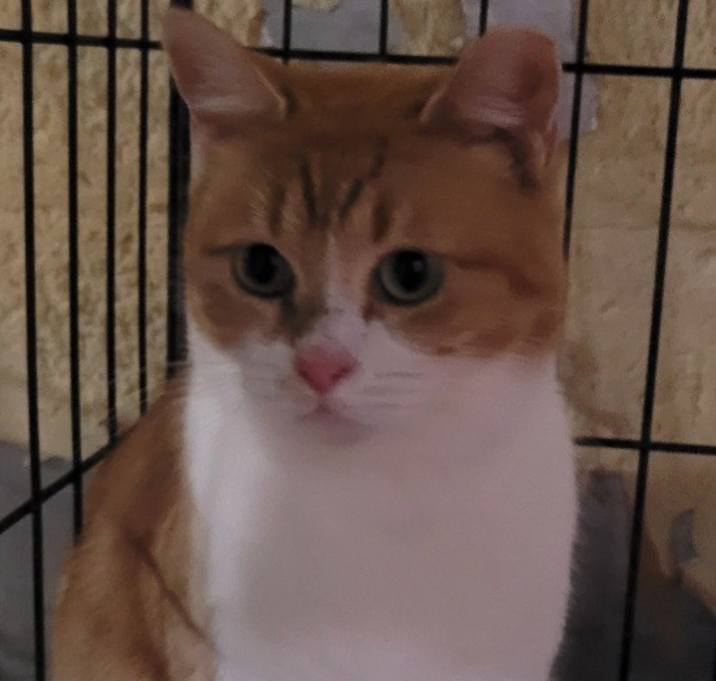 Photo of Tina