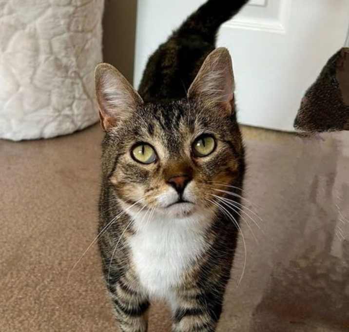 Photo of Octavia