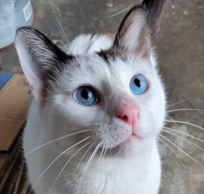Photo of Joseph