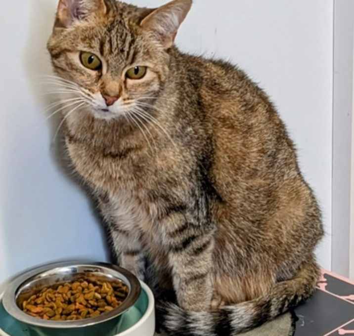 Photo of Nellie