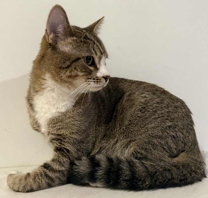 Photo of Nudge - MS